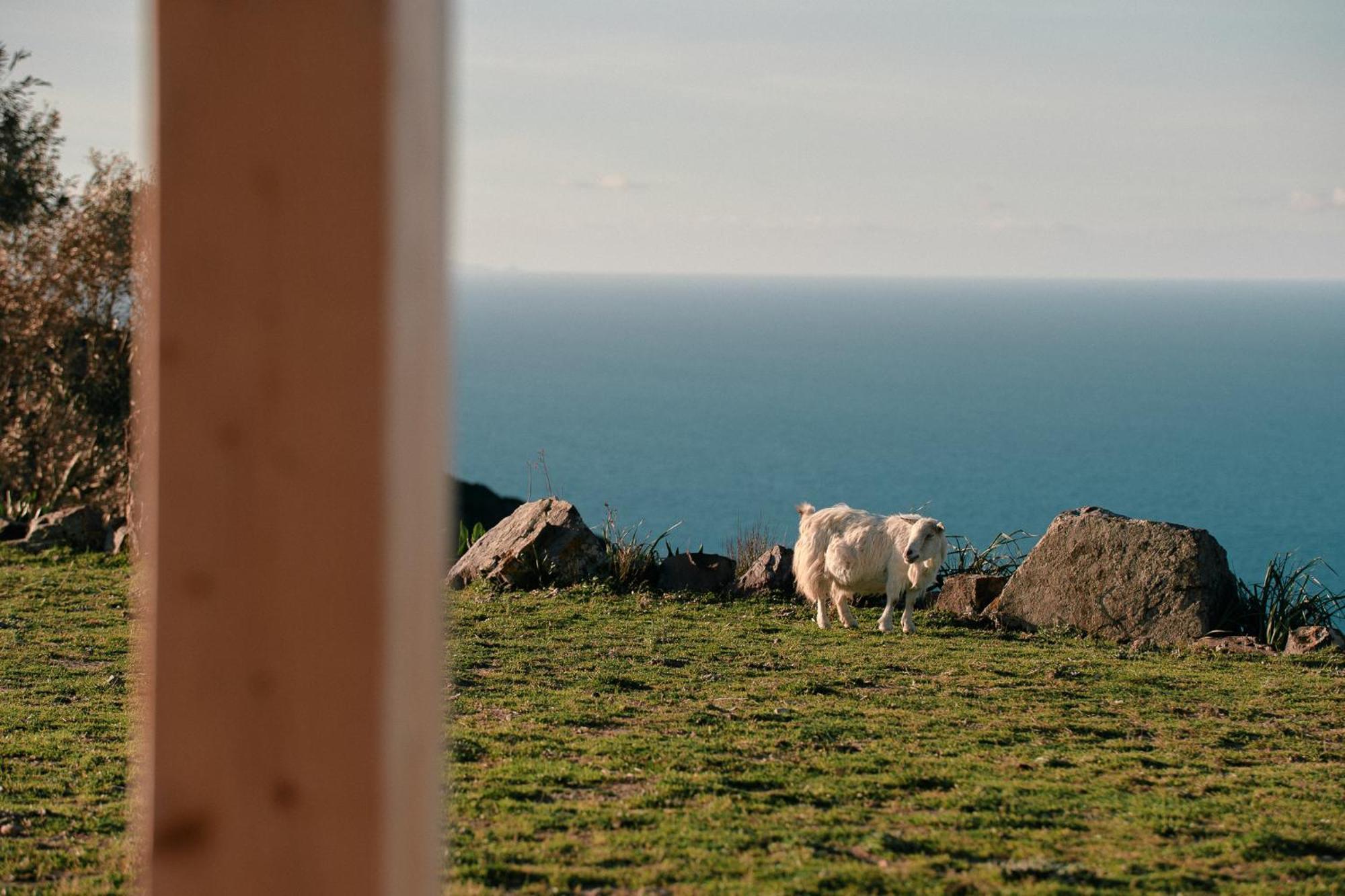 New Suites Sea View Sardinia, 卡斯特尔萨多 外观 照片